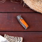 Нож складной «Пескарь», 14.7 см, клинок 64 мм/1.5 мм - Фото 3