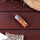 Нож складной "Пескарь" 14,7см, клинок 64мм/1,5мм - Фото 4