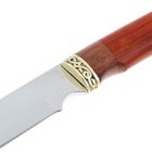 Нож нескладной "Осетр" СТ-31, г.Павлово, сталь 95х18, рукоять-ЦПД+1 литье - Фото 3