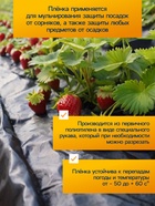 Плёнка полиэтиленовая, техническая, толщина 120 мкм, 100×3 м, рукав (1, 5 м×2), чёрная, 2 сорт, Эконом 50 %, Greengo - Фото 2