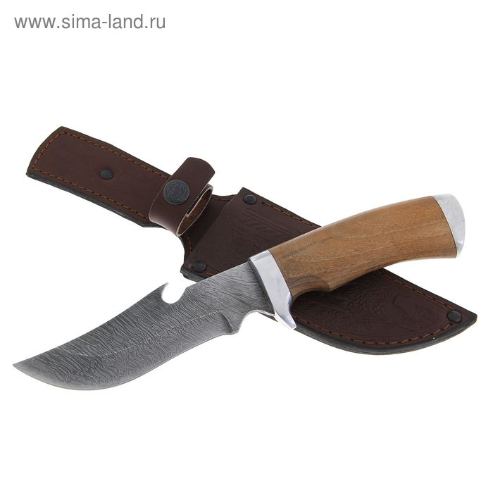 Нож нескладной "Егерь" СТ-16, г.Павлово, дамасская сталь, рукоять-орех - Фото 1