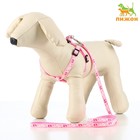 Комплект «Цветные следы», ширина 1 см, поводок 120 см, шлейка 23-35 см, розовый - Фото 1