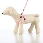 Комплект «Цветные следы», ширина 1 см, поводок 120 см, шлейка 23-35 см, розовый - Фото 2