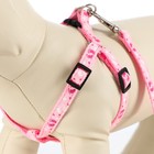 Комплект «Цветные следы», ширина 1 см, поводок 120 см, шлейка 23-35 см, розовый - Фото 3