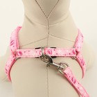Комплект «Цветные следы», ширина 1 см, поводок 120 см, шлейка 23-35 см, розовый - Фото 4