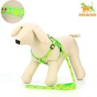 Комплект «Цветные следы», поводок 120×1 см, ОГ 23-35 см, зелёный - Фото 1