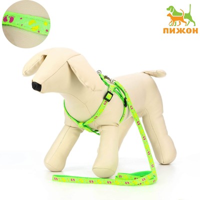 Комплект «Цветные следы», поводок 120×1 см, ОГ 23-35 см, зелёный