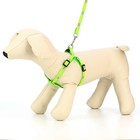 Комплект «Цветные следы», поводок 120×1 см, ОГ 23-35 см, зелёный - Фото 2