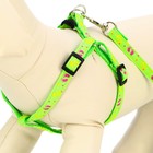 Комплект «Цветные следы», поводок 120×1 см, ОГ 23-35 см, зелёный - Фото 3