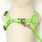 Комплект «Цветные следы», поводок 120×1 см, ОГ 23-35 см, зелёный - Фото 4