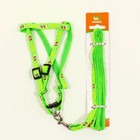 Комплект «Цветные следы», поводок 120×1 см, ОГ 23-35 см, зелёный - Фото 6