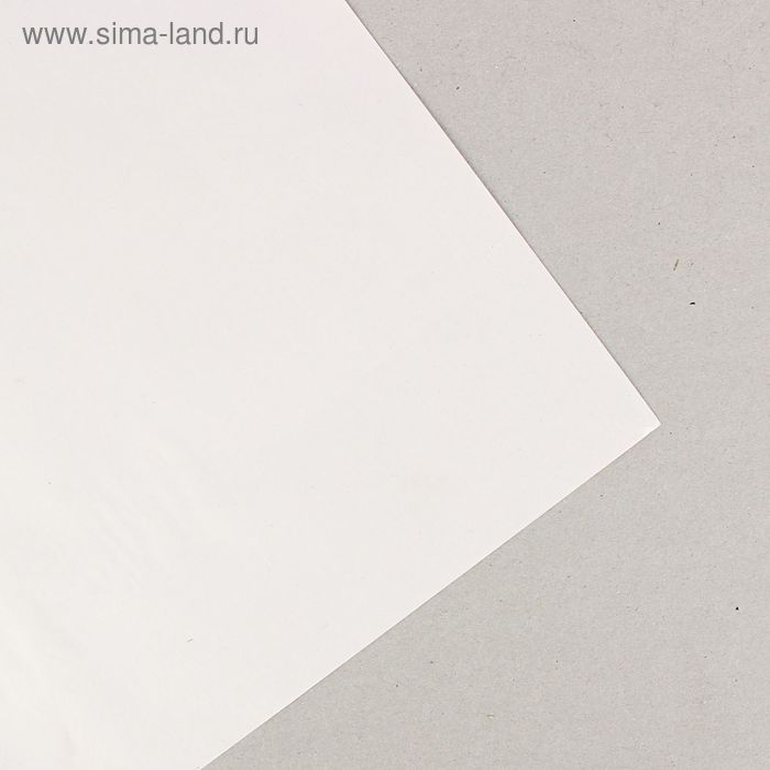 Бумага газетная 594 х 840 мм, набор 500 листов - Фото 1