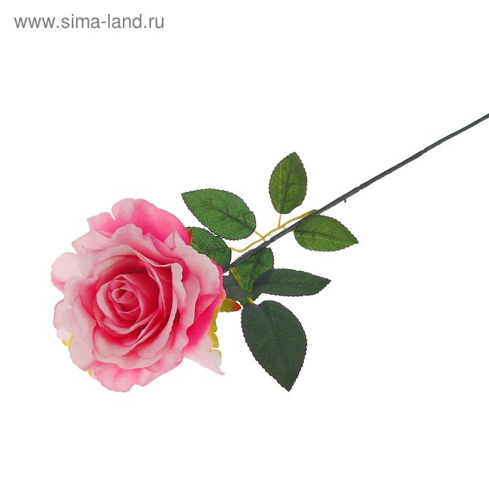 Цветы искусственные "Роза барбадос" 12*58 см, розовая - Фото 1