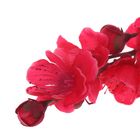 Цветы искусственные "Сакура" 74 см, красный - Фото 2