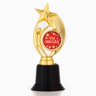 Кубок наградная фигура: звезда «Ты звезда» золото, пластик, 18.5 см - Фото 2