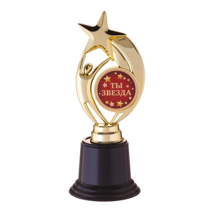 Наградная фигура: звезда «Ты звезда», 7 х 18,2 см, золото, пластик - фото 1884736602