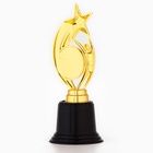 Кубок наградная фигура: звезда «Ты звезда» золото, пластик, 18.5 см - Фото 4