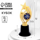Кубок наградная фигура: звезда «Ты лучший» золото, пластик, 18.5 см - Фото 1