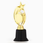 Кубок наградная фигура: звезда «Ты лучший» золото, пластик, 18.5 см - Фото 5