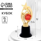 Кубок наградная фигура: звезда «Лучшая учительница» золото, пластик, 7 х 18,2 см. - фото 110117887