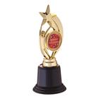 Наградная фигура: звезда «Лучшая учительница», 7 х 18,2 см, золото, пластик - Фото 2
