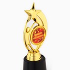 Кубок «Лучшая учительница», наградная фигура звезда, пластик, 18.5 см - Фото 5