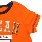 Комплект для мальчика (футболка+шорты), рост 92 см (2 года), цвет тёмно-синий/оранжевый (арт. Н457) - Фото 2