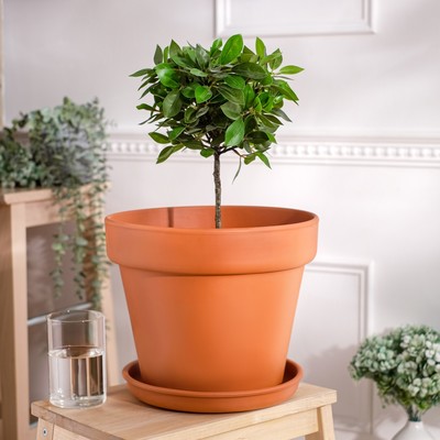 Горшок для цветов "Стандарт", красная глина, 10 л