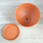 Горшок для цветов "Стандарт", красная глина, 1 л - Фото 2