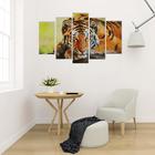 Картина модульная на подрамнике "Таинственность тигра" 2-25*52,2-25*66,1-25*8, 80*140 см - фото 9833294