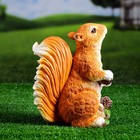 Садовая фигура "Белка стоящая с шишками" 25х20х14см - Фото 3