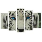 Картина модульная на подрамнике "Голубые глаза тигра" 2-25*52,2-25*66,5,1-25*80, 80*140 см - Фото 1