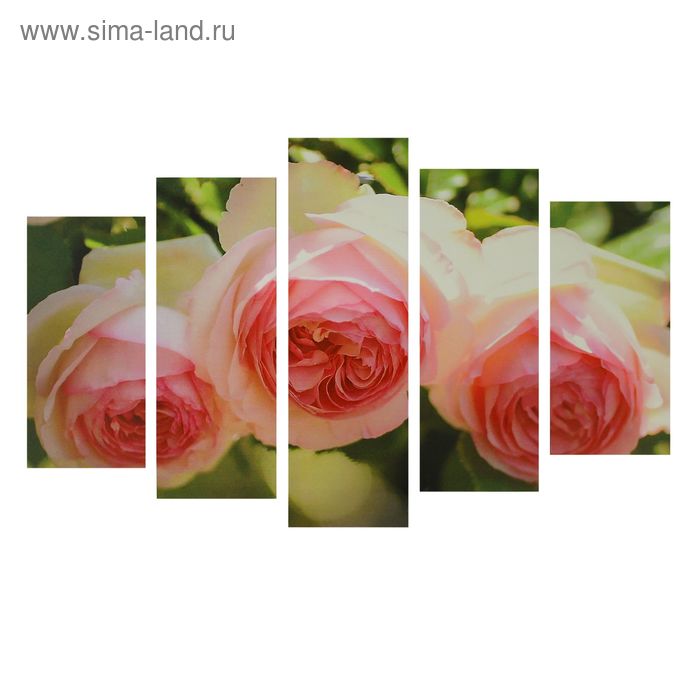 Картина модульная на подрамнике "Нежные розы" 2-25*52,2-25*66,5,1-25*80,80*140 см - Фото 1