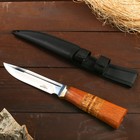 Нож охотничий "Ролло" 26см, клинок 140мм/3,4мм, дерево - фото 11875611