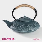 Чайник чугунный Доляна «Ялонг», 800 мл, с ситом, цвет голубой - фото 4433655