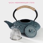 Чайник чугунный Доляна «Ялонг», 800 мл, с ситом, цвет голубой - Фото 2