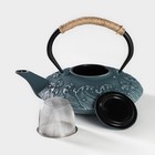 Чайник чугунный Доляна «Ялонг», 800 мл, с ситом, цвет голубой - Фото 3