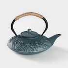 Чайник чугунный Доляна «Ялонг», 800 мл, с ситом, цвет голубой - фото 8645326