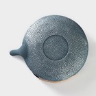 Чайник чугунный Доляна «Ялонг», 800 мл, с ситом, цвет голубой - фото 8645328