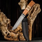 Нож охотничий "Барди" 28см, клинок 145мм/3,8мм, дерево - Фото 2