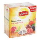 Чай черный Lipton, Forest Fruit, пирамидки, 40 пакетиков*1,7 г - Фото 1