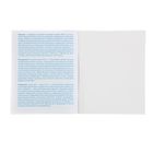 Тетрадь предметная "Окно в Мир", 46 листов, линейка, "Литература" тиснение, металлизированная обложка - Фото 3