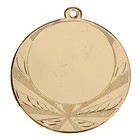Медаль под нанесение диам 7 см. Цвет зол. Без ленты - фото 320868420