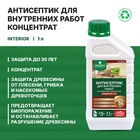 Антисептик для внутренних работ Prosept Interior, концентрат, 1л - Фото 2