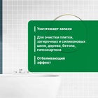 Удалитель плесени Prosept Fungi Clean, концентрат, 1 л - Фото 3