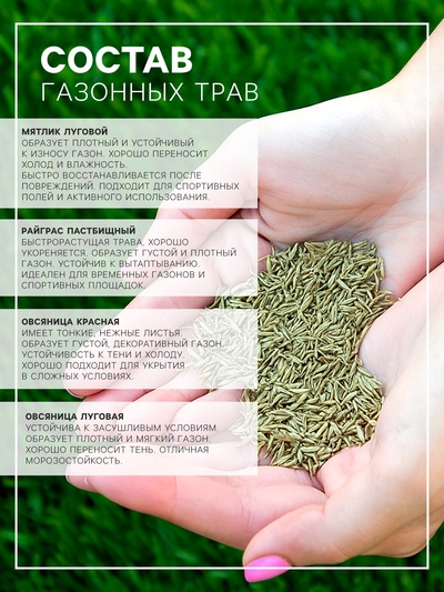 Газонная травосмесь Абсолют Спорт, 10 кг