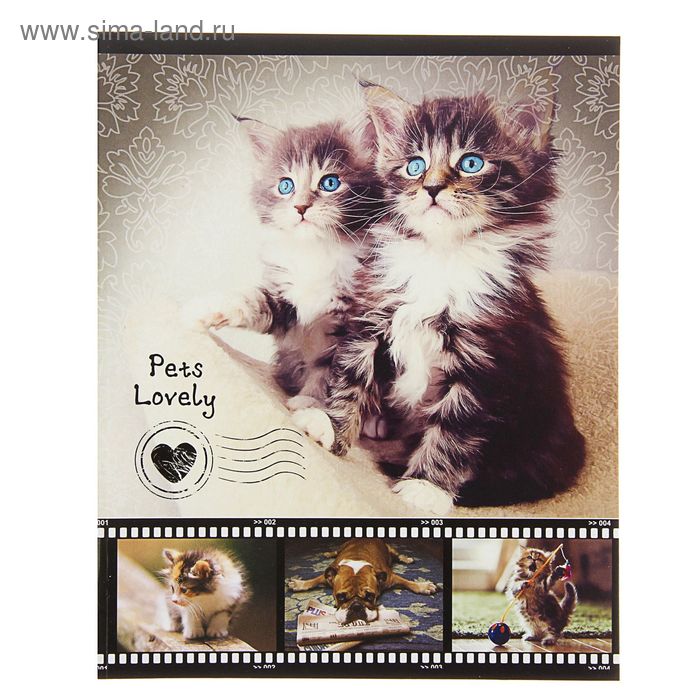 Тетрадь 48 листов клетка "Любимые питомцы", обложка картон хромэрзац - Фото 1