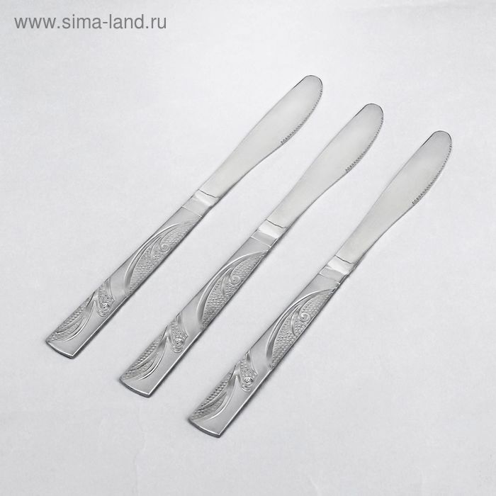 Ножи столовые Доляна «Вьюночек», длина 21 см, 3 шт - Фото 1
