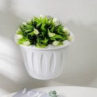 Кашпо для цветов настенное Martika «Фелиция», 3.4 л, d=24 см, пластик, белое - Фото 1