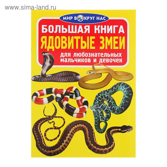 Книга про змей. Книги о змеях. Змеи книга. Книги о змеях для детей. Художественные детские книги о змеях.